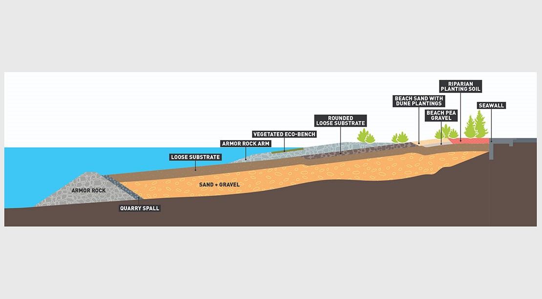 Diagram showing the different layers created to mimic the Elliott Bay ecosystem, including rock, sand, gravel and planting soil.
