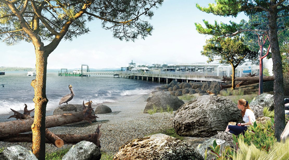 rendering of a habitat beach with rocks, sand, plants and trees, where a woman sits with a notebook and birds rest on logs. 