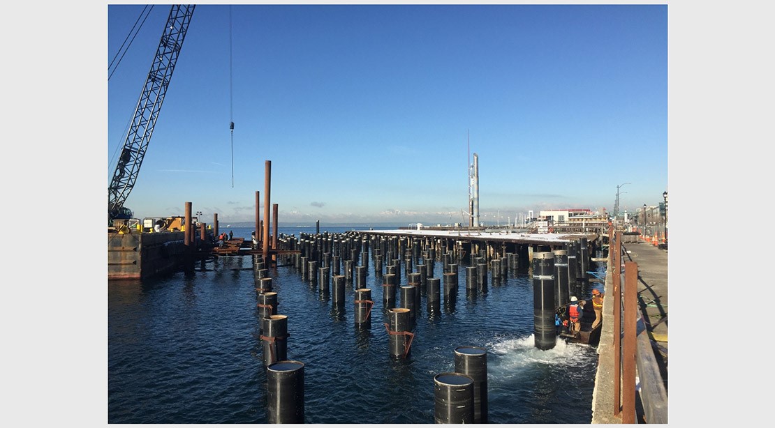Photo of the new steel piles in place, protruding about ten feet above the water.