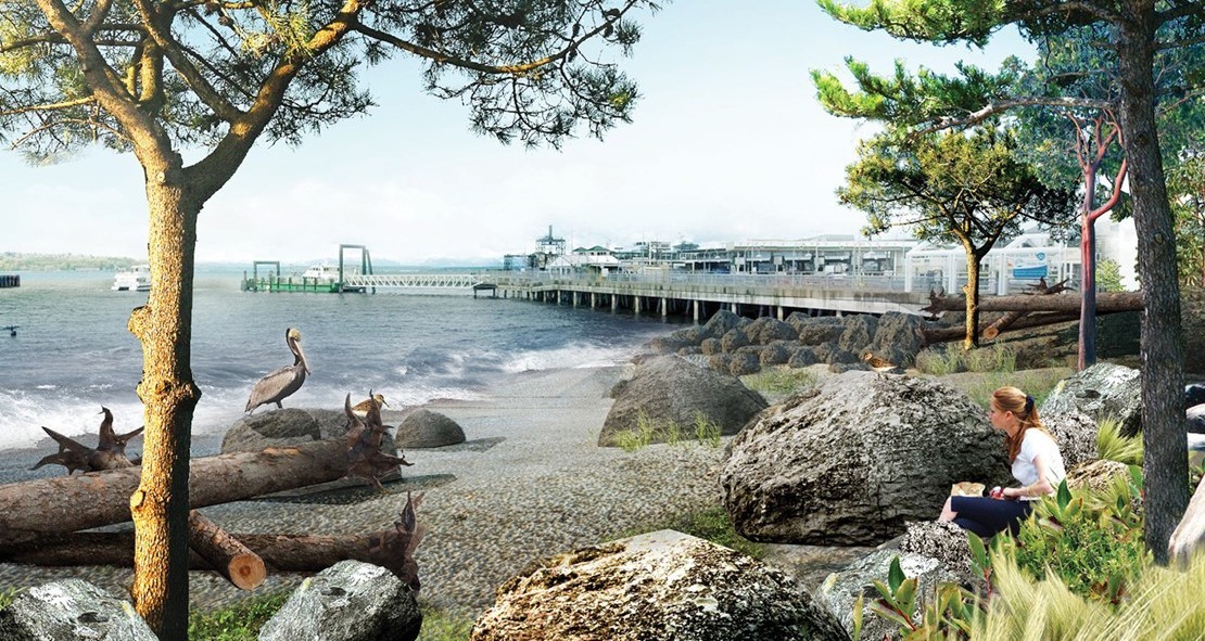 Rendering of the habitat beach that has rocks, plants and trees, with a woman sitting with a notebook and birds resting on logs